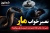 تعبیر خواب مار چیست؟ | دیدن مار در خواب نشانه دشمنی است یا رسیدن به پول و موفقیت؟